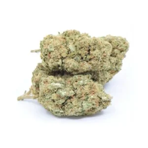 Harle_quin-Indoor-10636-500x500 Flor CBD HHP 2 Indoor