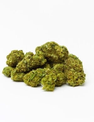 Swisscheese Flor CBD Swiss Cheese Glasshouse