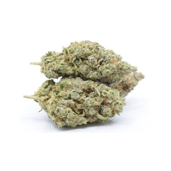 Flor CBD Velvet Indoor PREMIUM RAMA