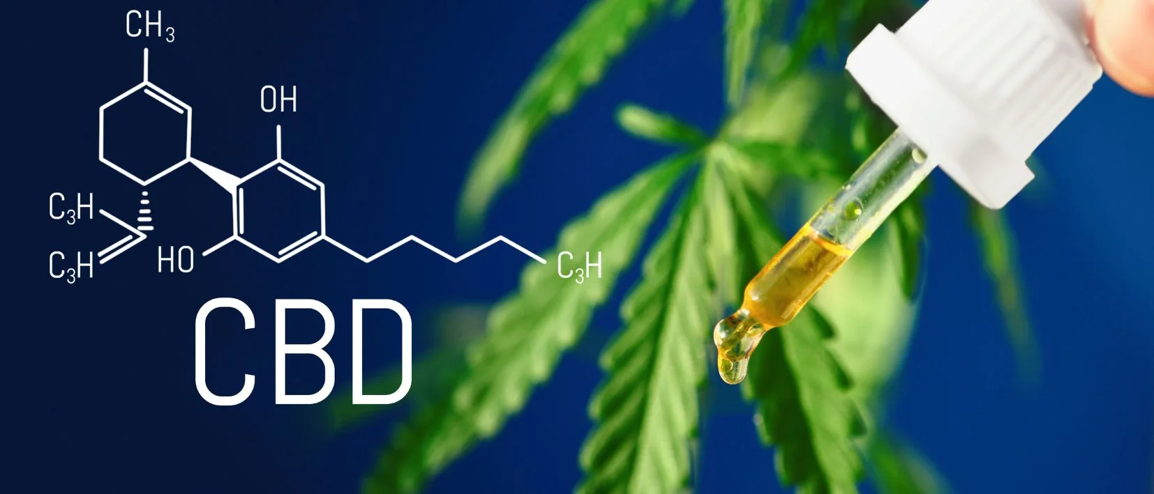 CBD THCP HHC HHCP HHCPO