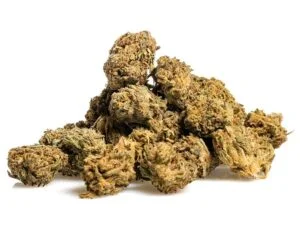 Flor CBD Bubble Gum Mid Bud