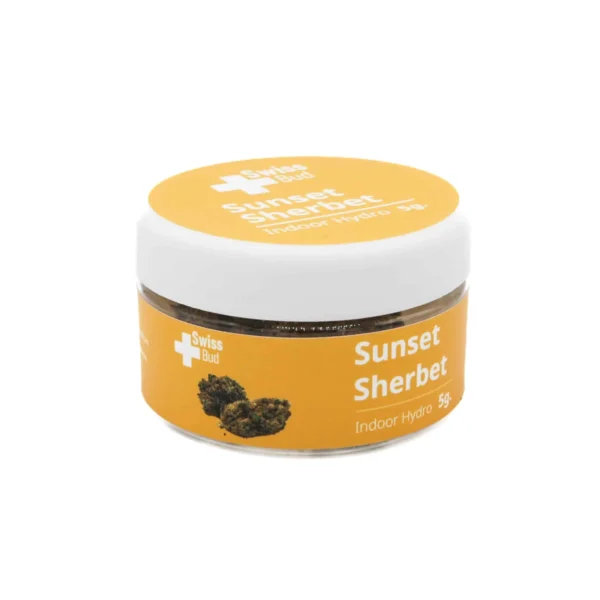 Sunset Sherbet Indoor Hidro