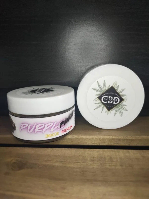 CBD EN RAMA Flor CBD Purple Punch Indoor