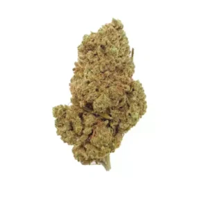 Flor CBD Sour Tsunami GreenHouse