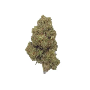 Flor CBD Suver Haze