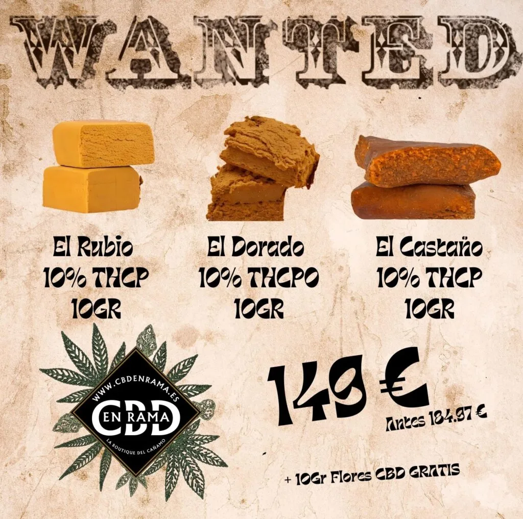 10 e1732038274477