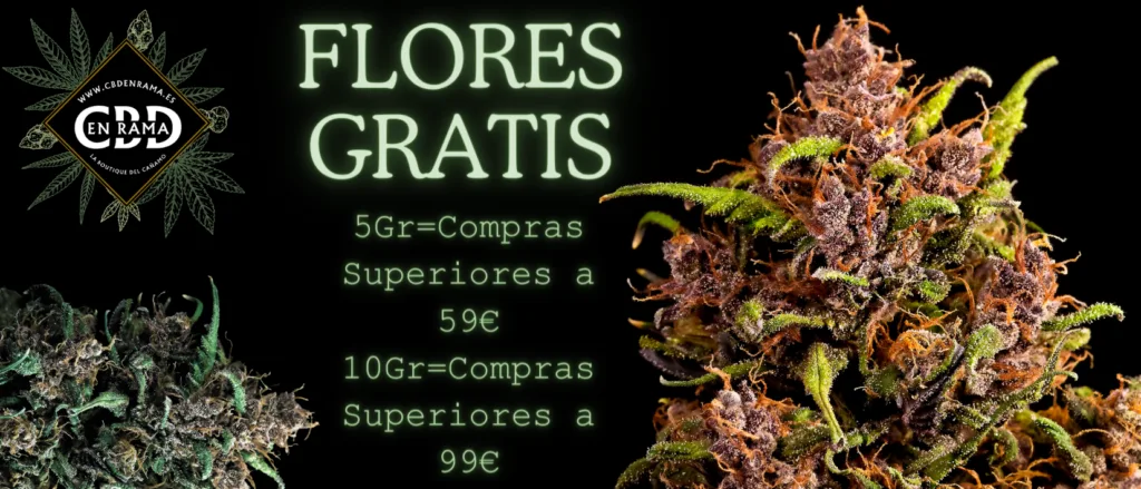 baner flores gratis